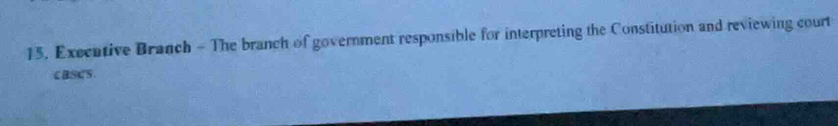 15. executive branch - the branch of government responsible for interpr…