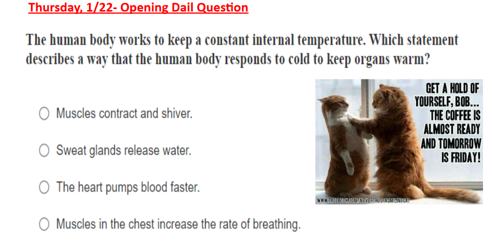 thursday, 1/22- opening dail question the human body works to keep a co…