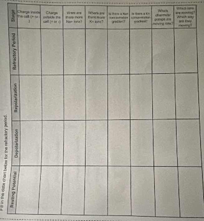 fill in the data chart below for the refractory period. stage | resting…