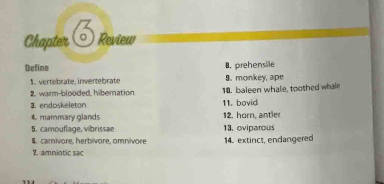chapter 6 review define 1. vertebrate, invertebrate 2. warm - blooded, …