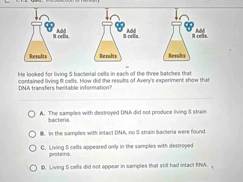 he looked for living s bacterial cells in each of the three batches tha…