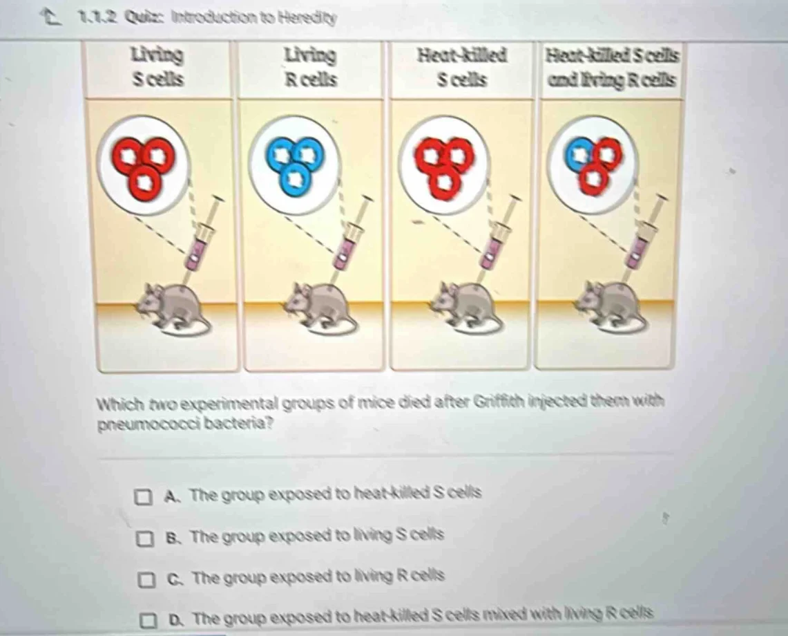 1.1.2 quiz: introduction to heredity living s cells living r cells heat…