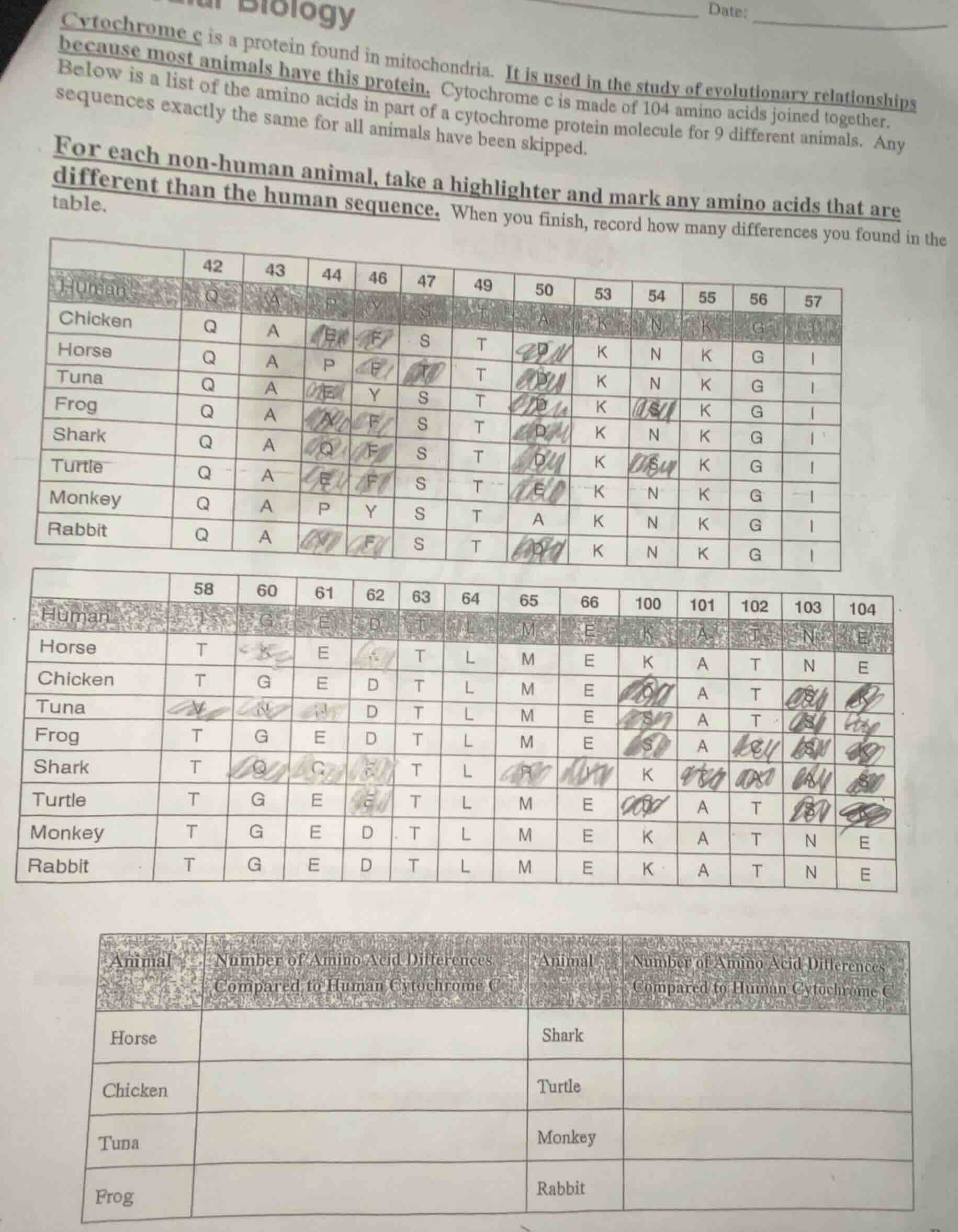 biology date: cytochrome c is a protein found in mitochondria. it is us…
