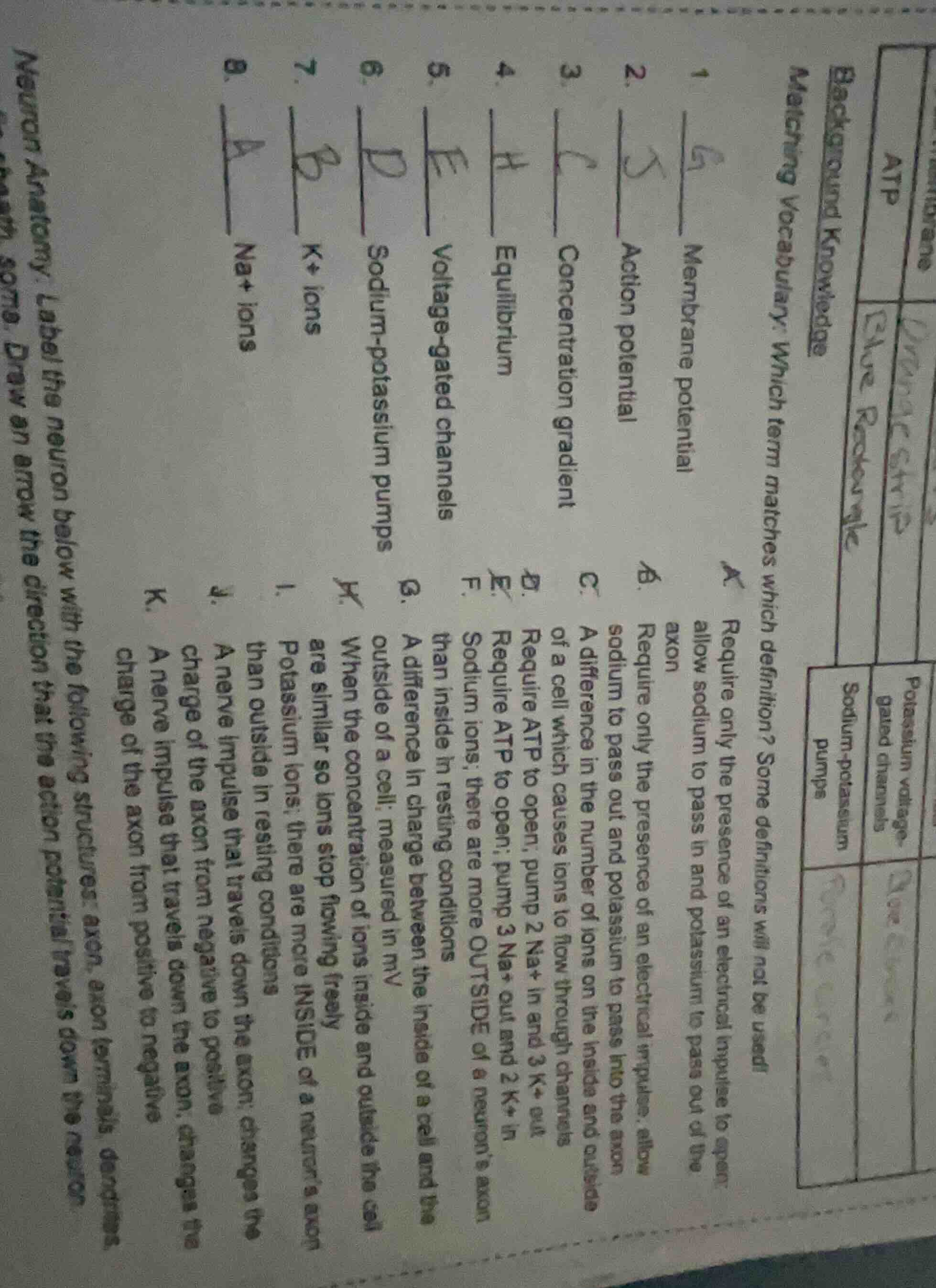 matching vocabulary: which term matches which definition? some definiti…