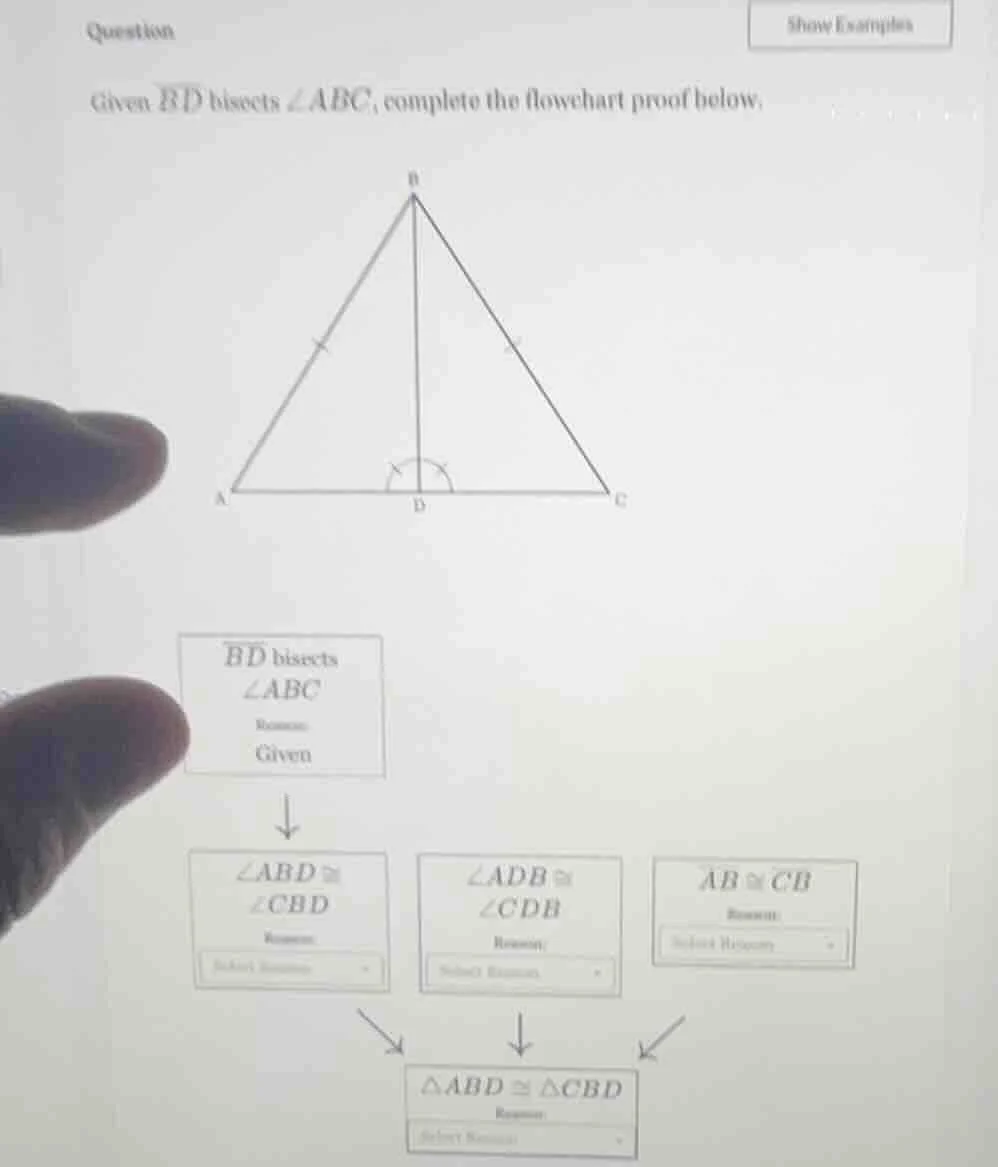 question show examples given (overline{bd}) bisects (angle abc), comple…