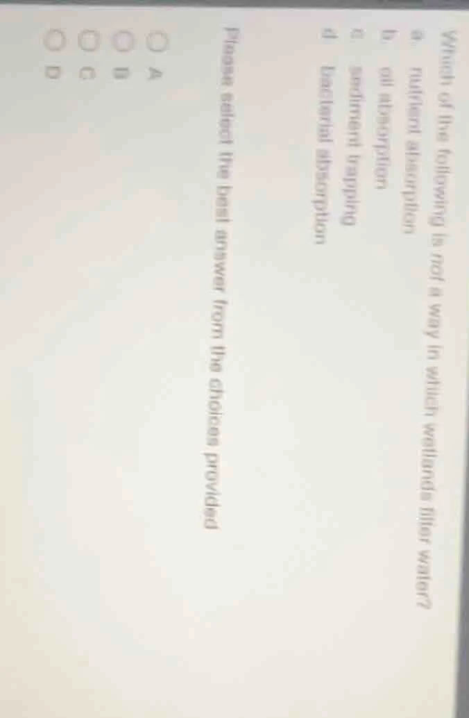 which of the following is not a way in which wetlands filter water? a n…
