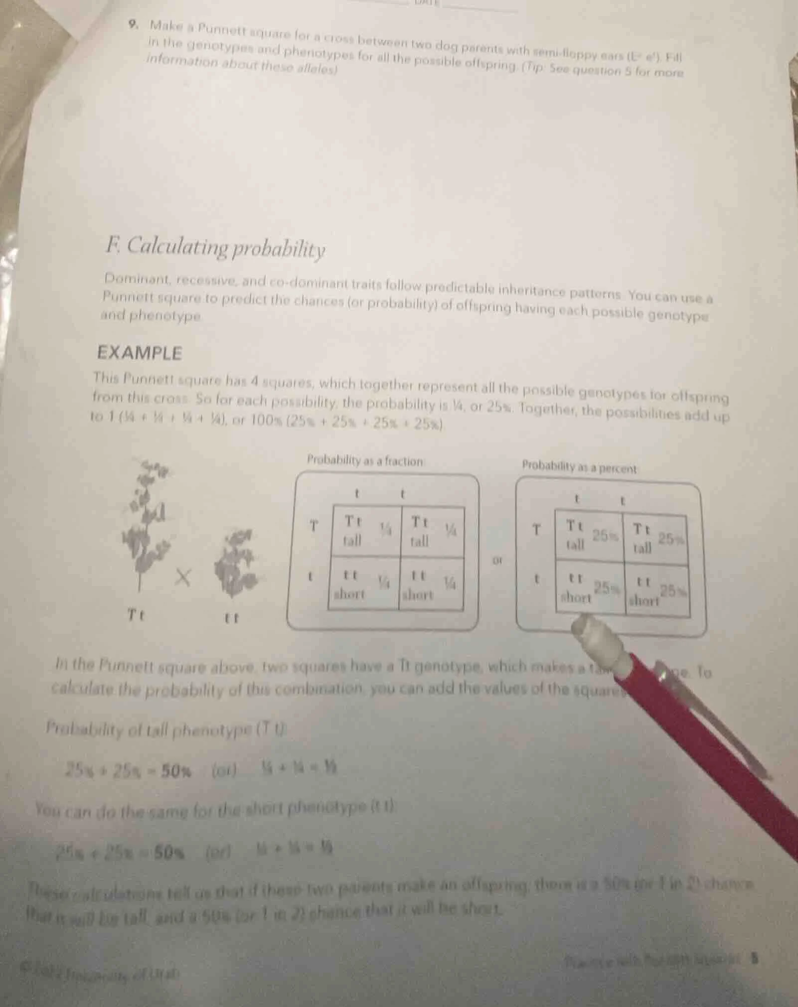 9. make a punnett square for a cross between two dog parents with semi …