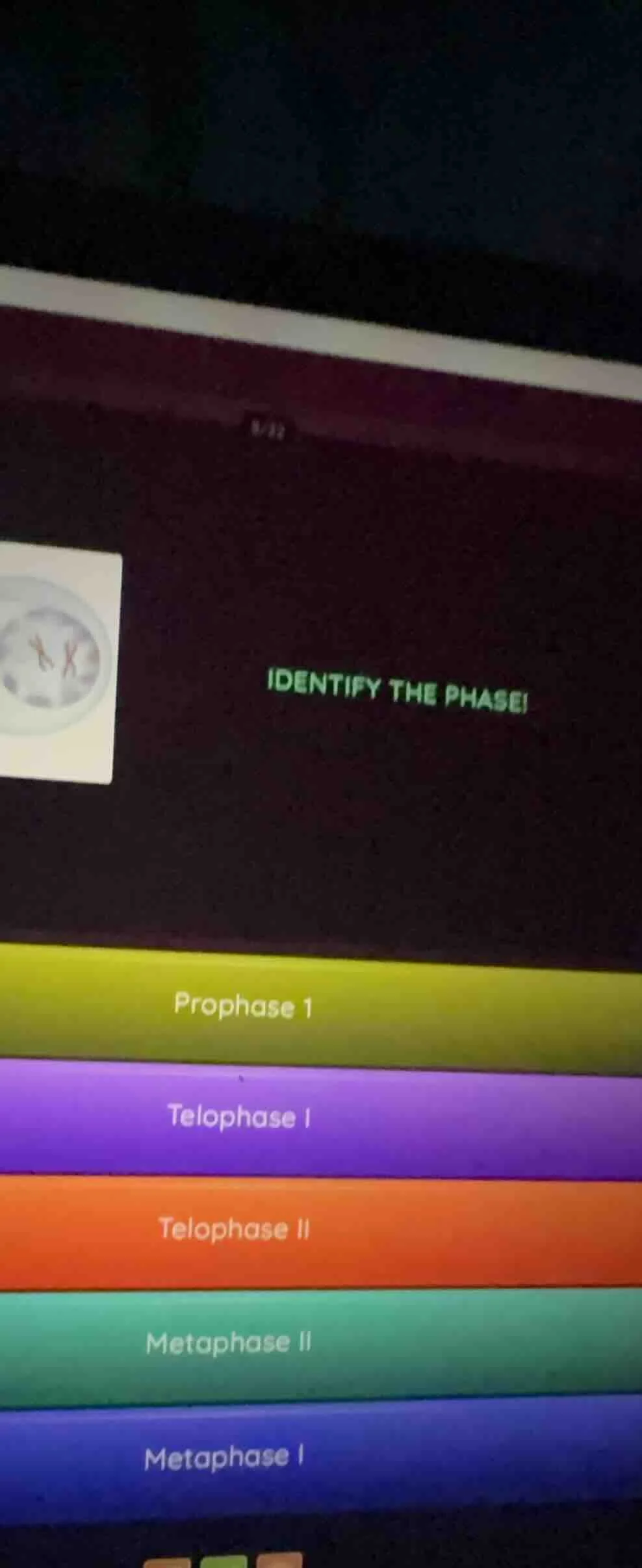 identify the phase! prophase 1 telophase i telophase ii metaphase ii me…
