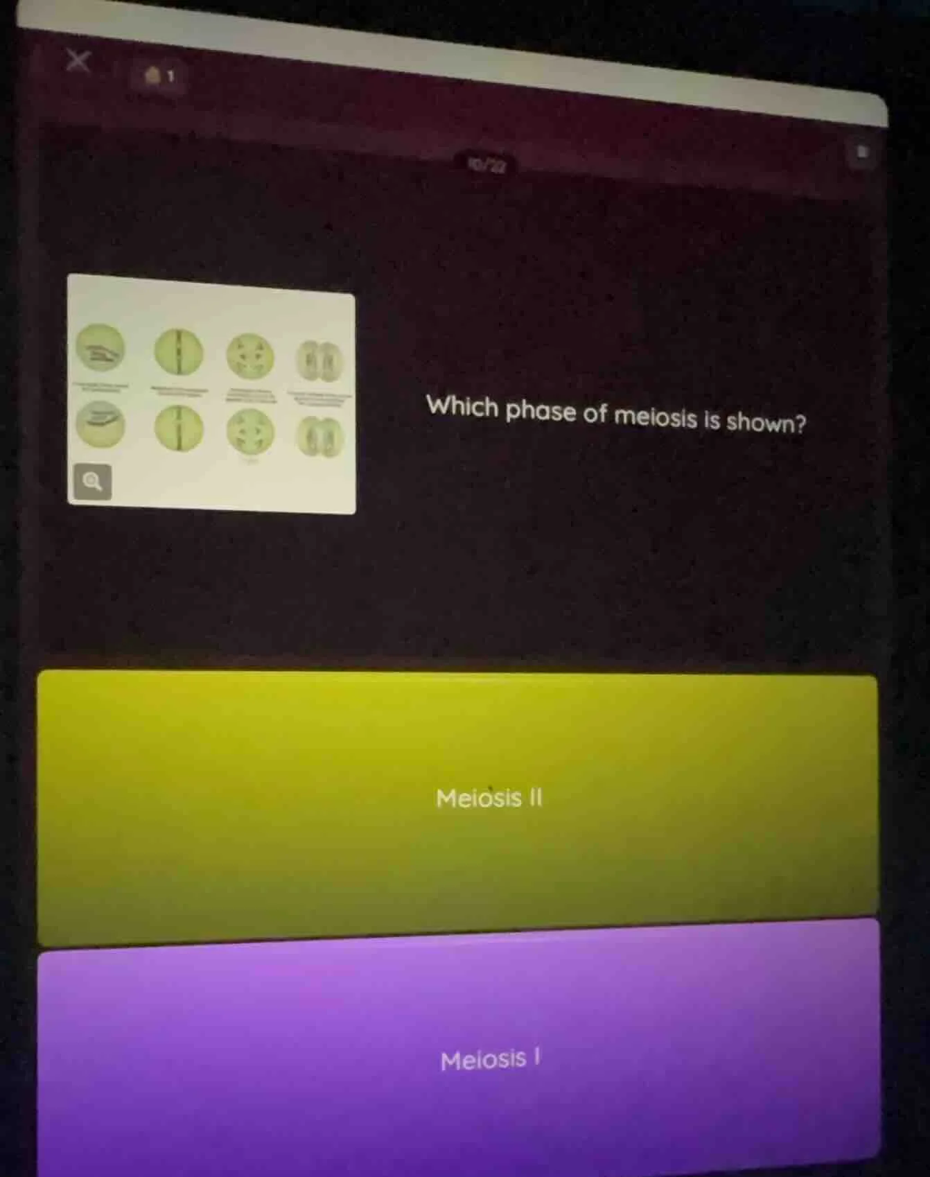 which phase of meiosis is shown? meiosis ii meiosis i