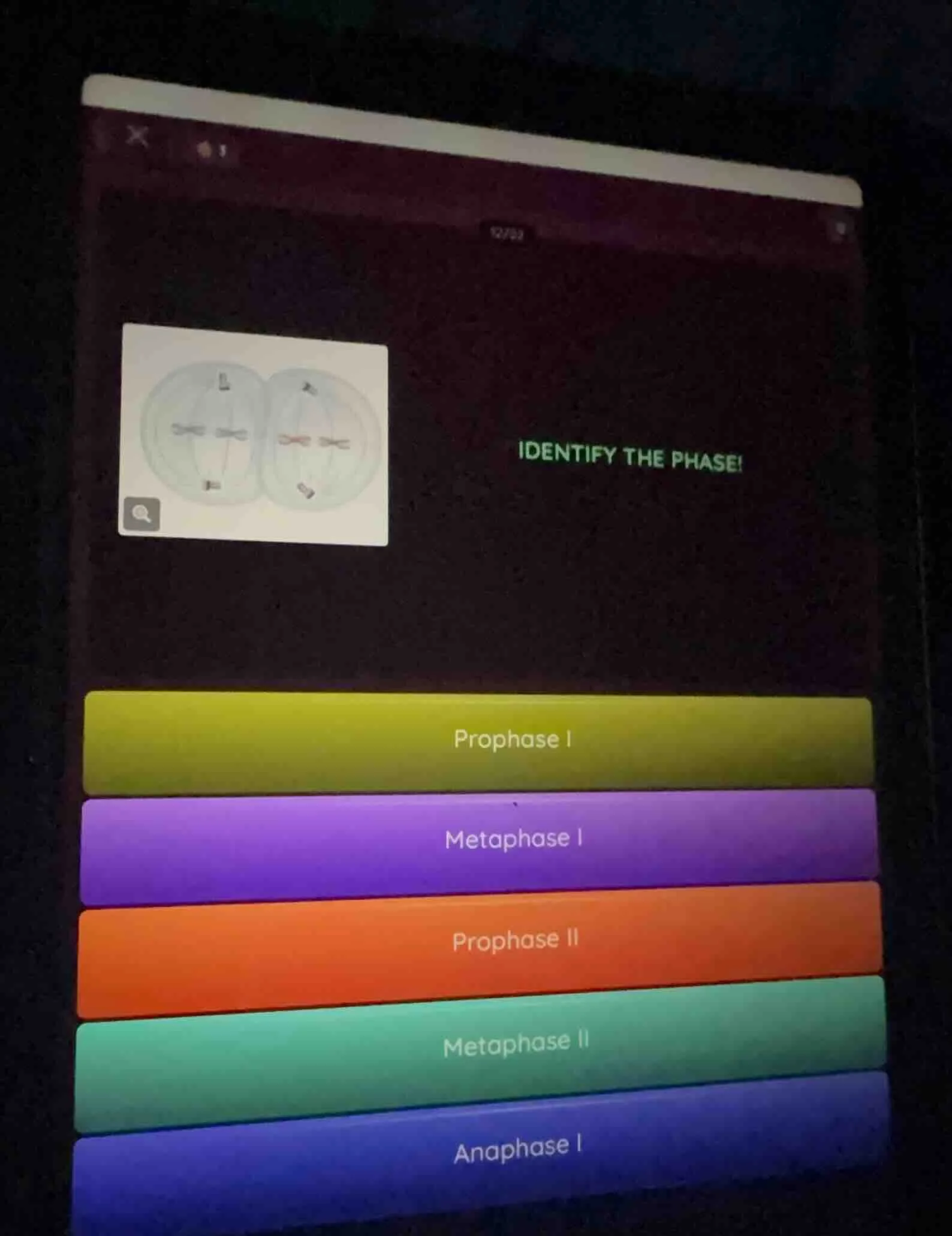 identify the phase! prophase i metaphase i prophase ii metaphase ii ana…