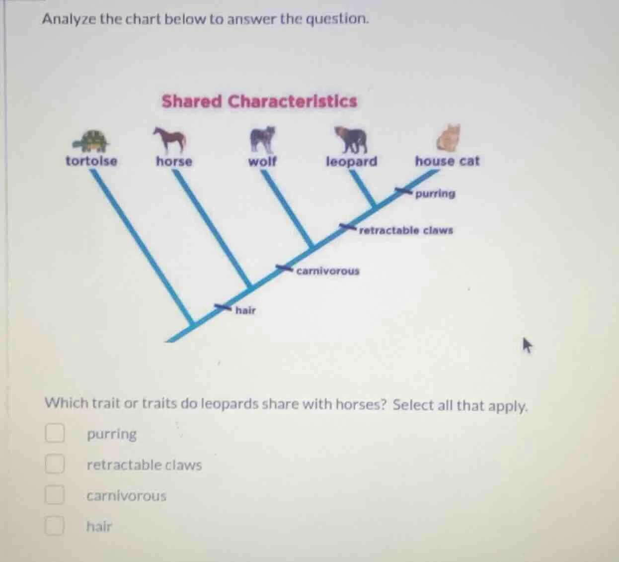 analyze the chart below to answer the question. shared characteristics …
