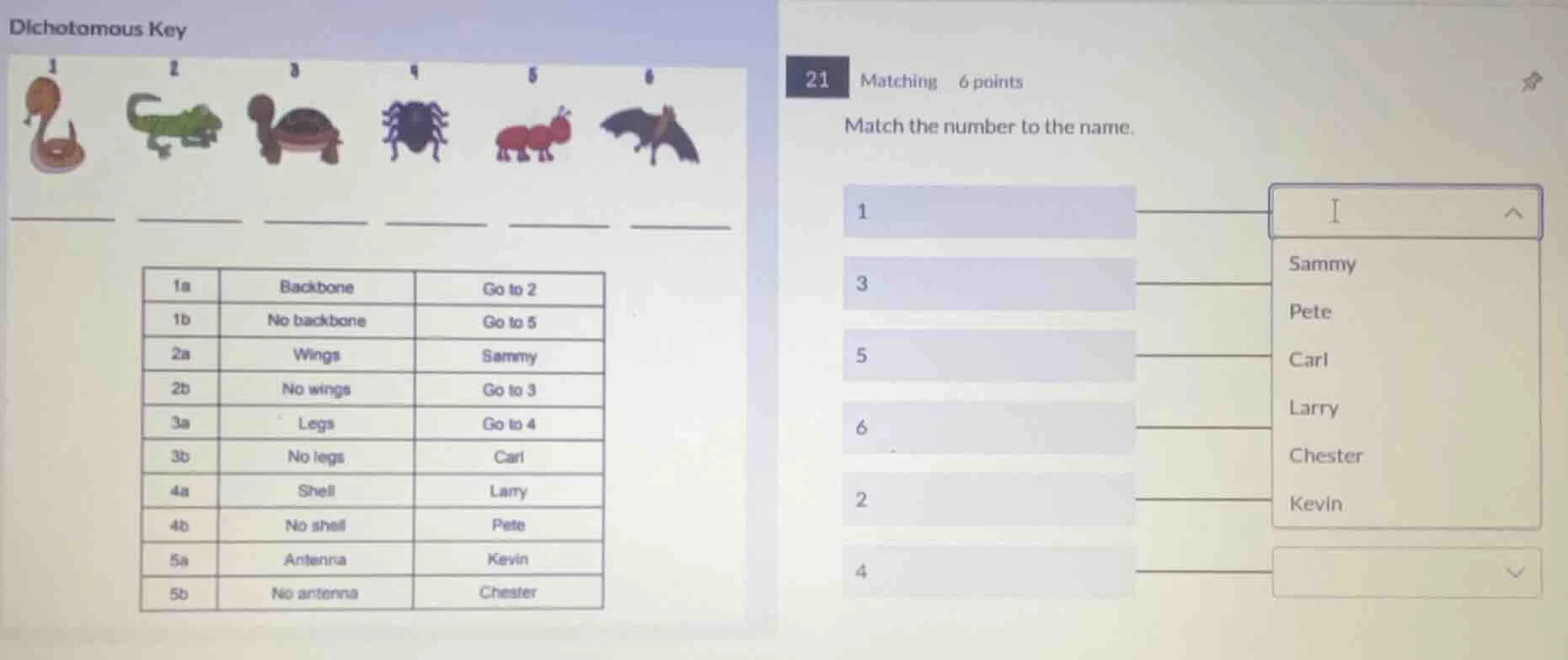 dichotomous key ------ ------ ------ ------ ------ ------ | 1a | backbo…