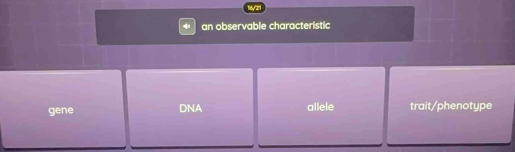 an observable characteristic; gene; dna; allele; trait/phenotype