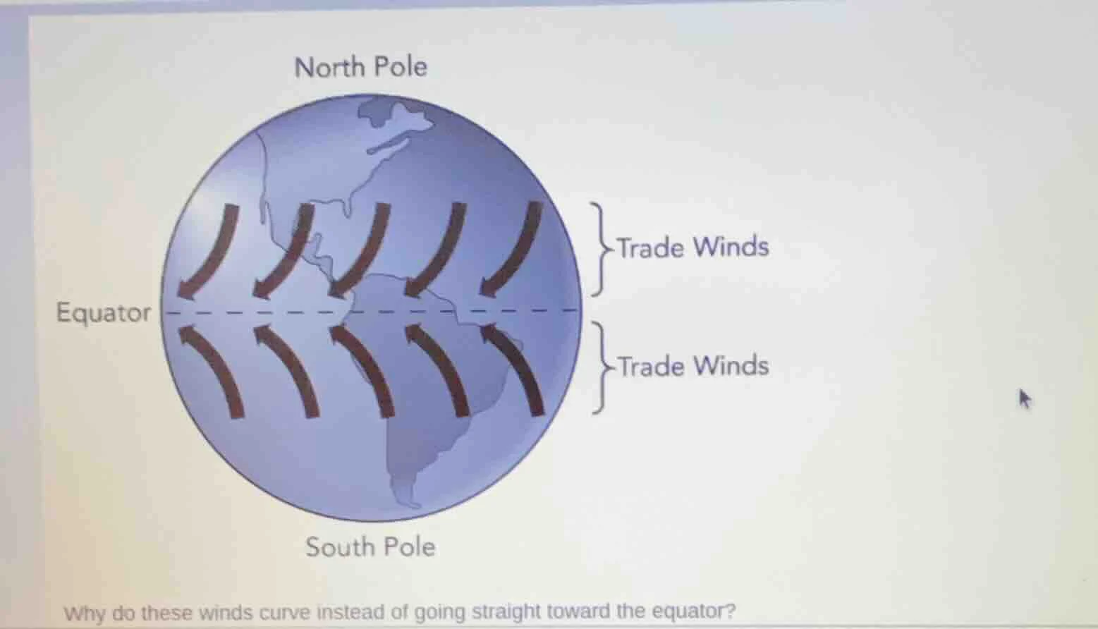 north pole equator south pole trade winds trade winds why do these wind…