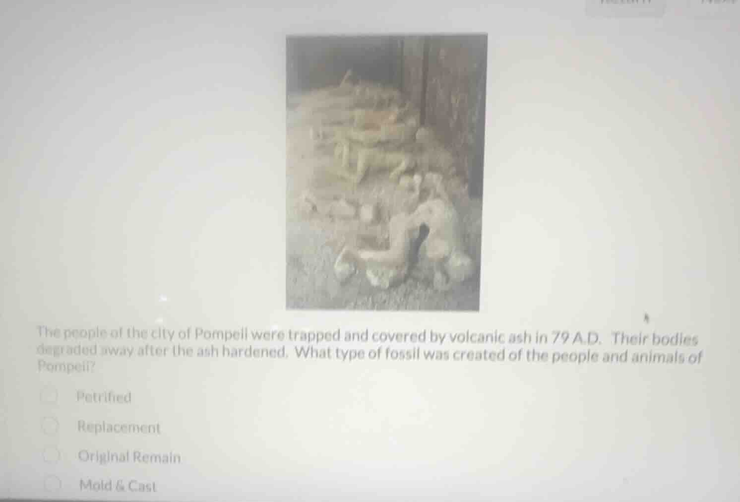 the people of the city of pompeii were trapped and covered by volcanic …