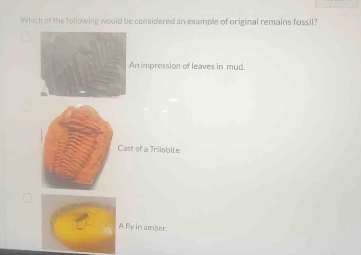 which of the following would be considered an example of original remai…