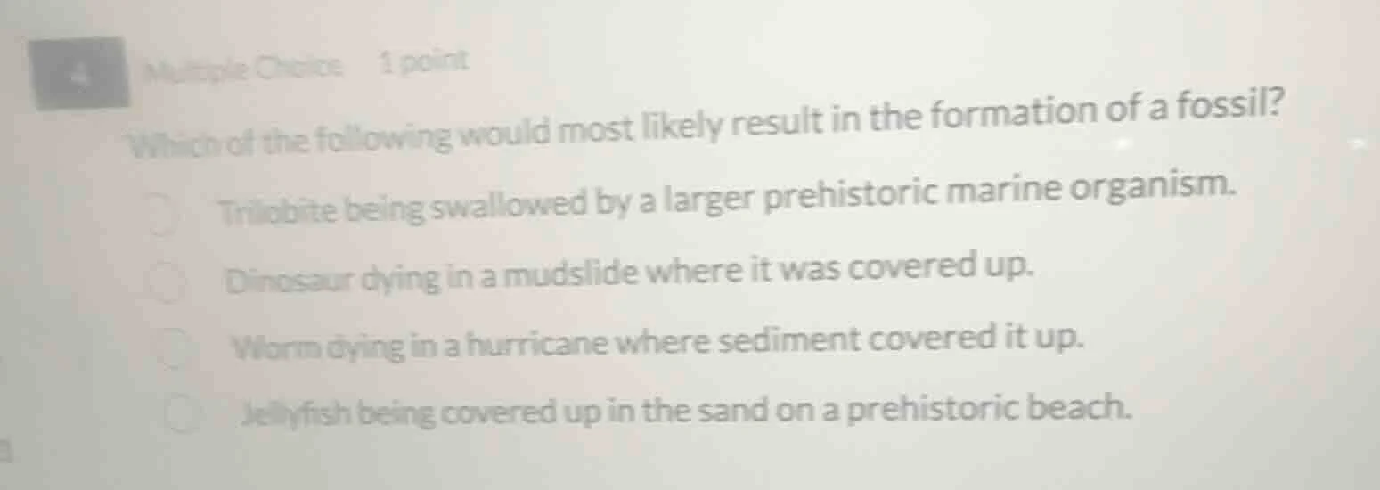 multiple choice 1 point which of the following would most likely result…