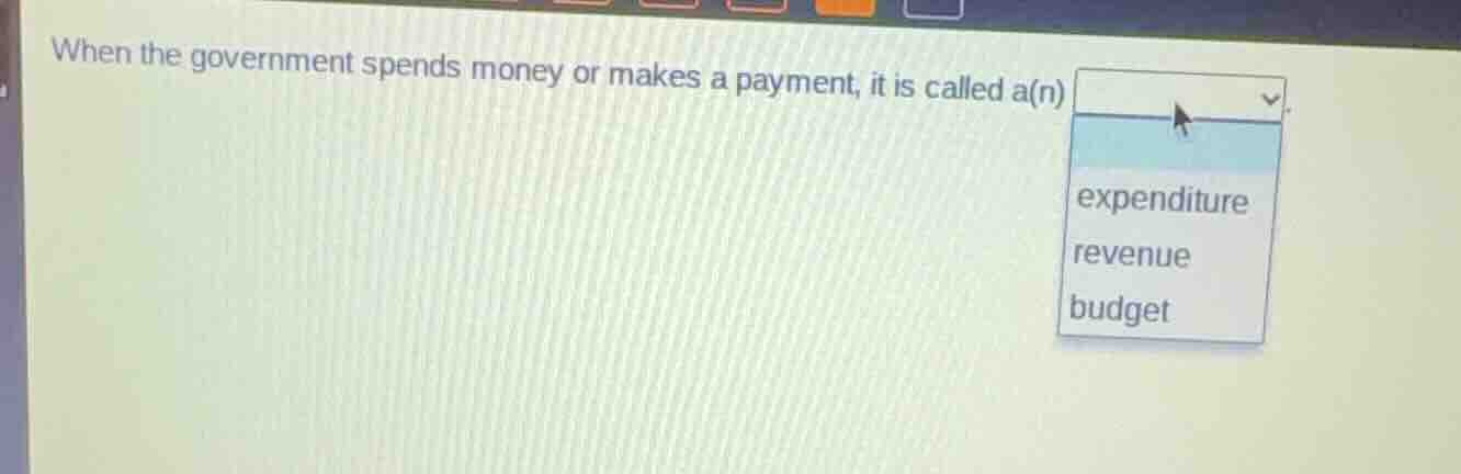 when the government spends money or makes a payment, it is called a(n) …