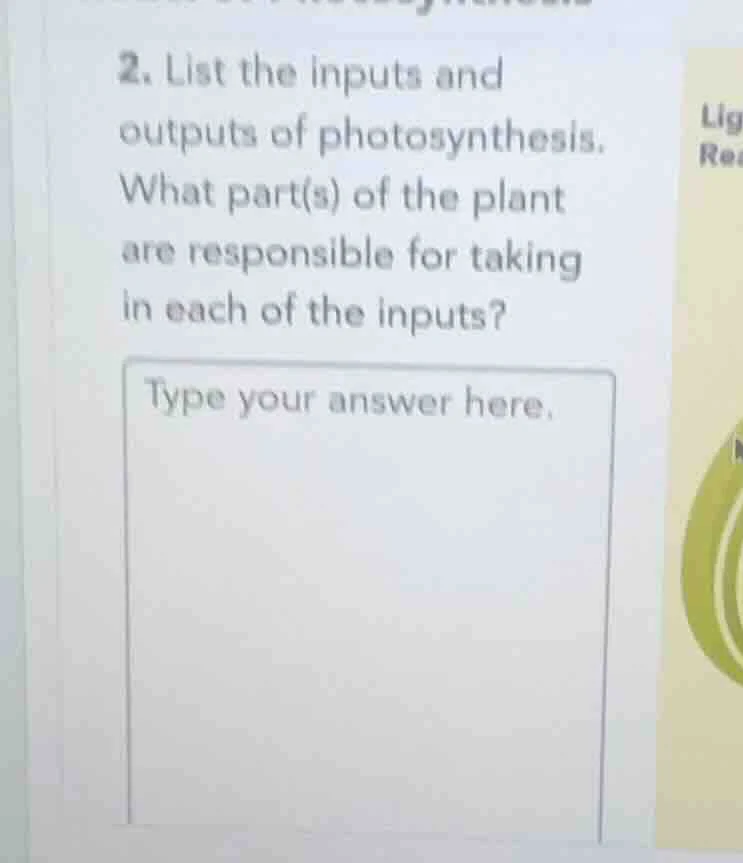 2. list the inputs and outputs of photosynthesis. what part(s) of the p…