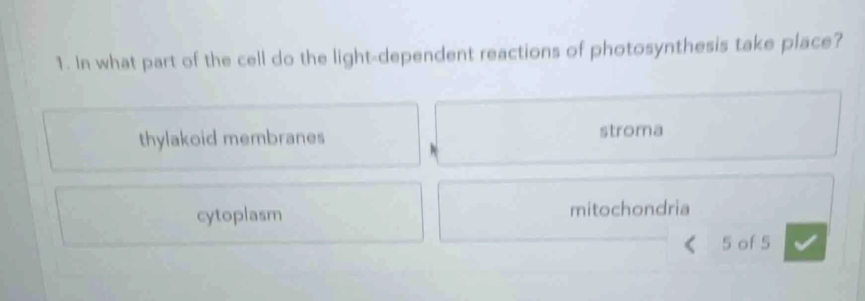 1. in what part of the cell do the light - dependent reactions of photo…