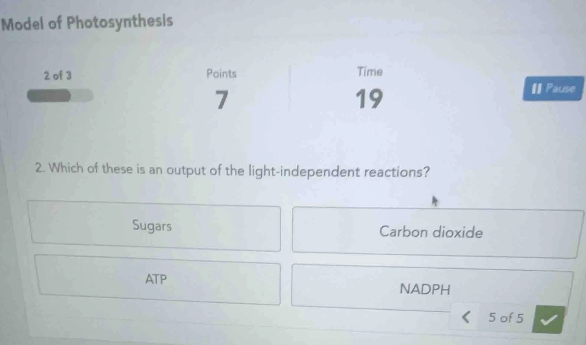 model of photosynthesis 2 of 3 \t\t\tpoints \t\t\ttime \t\t\t7 \t\t\t19…