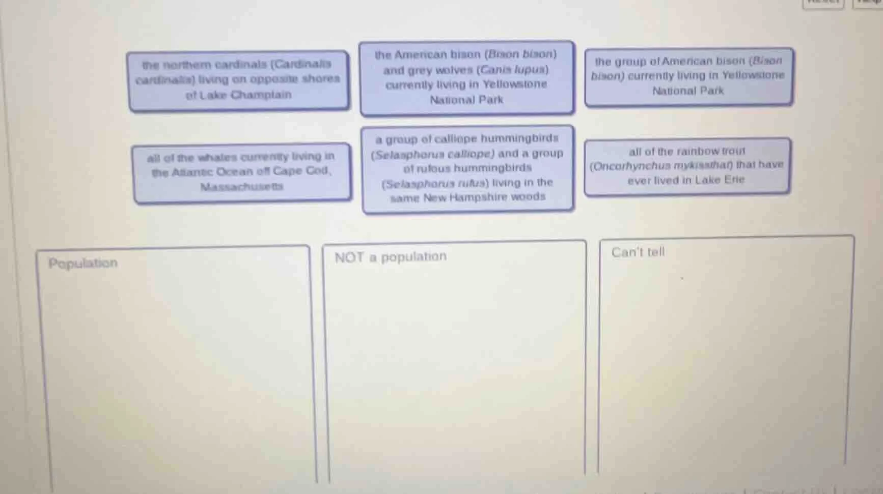 the northern cardinals (cardinalis cardinalis) living on opposite shore…