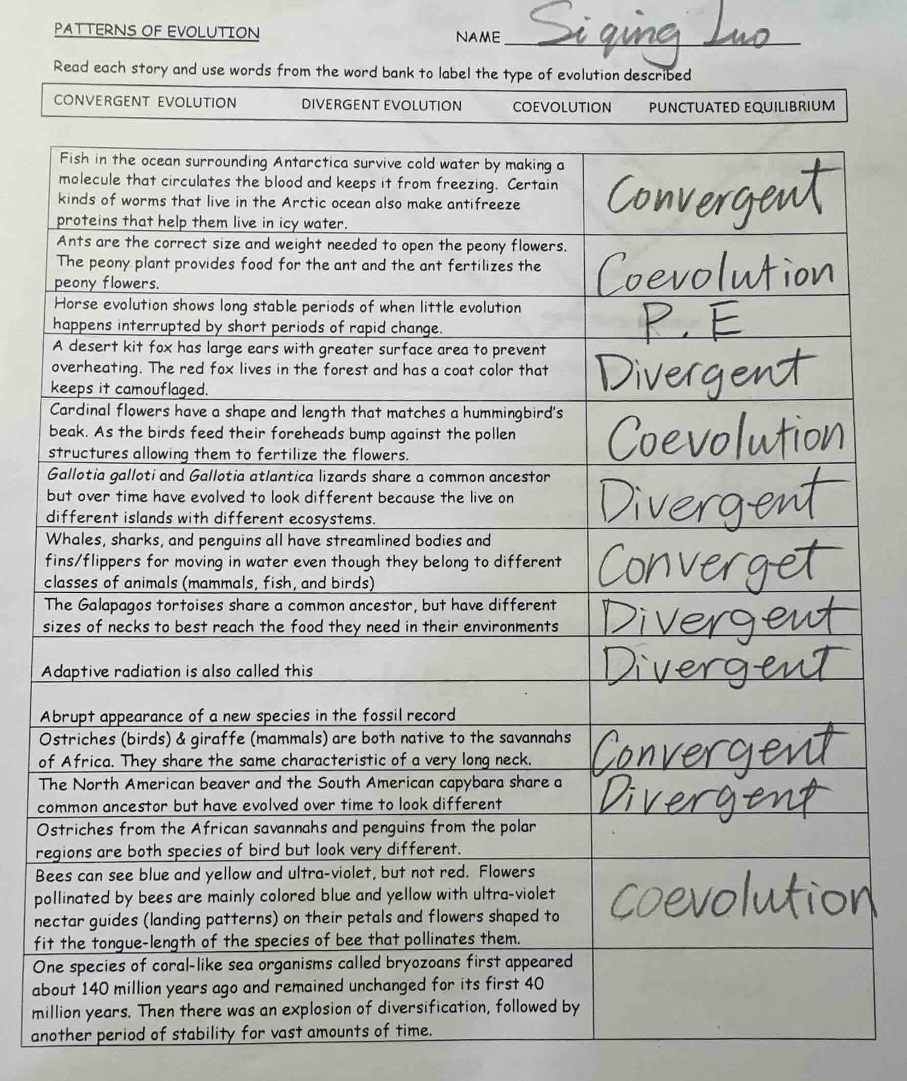 patterns of evolution name read each story and use words from the word …