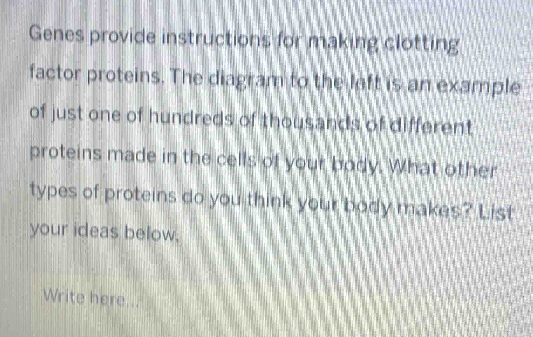 genes provide instructions for making clotting factor proteins. the dia…