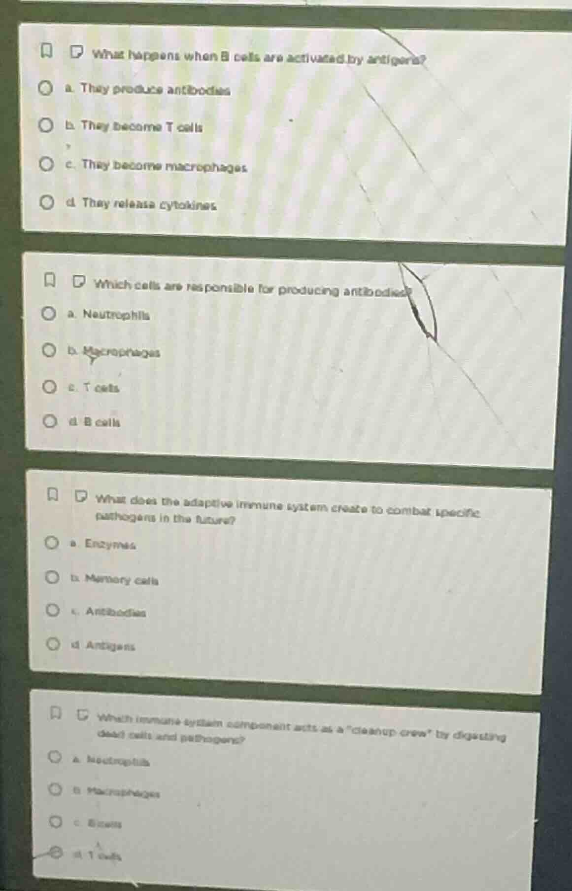what happens when b cells are activated by antigens? a. they produce an…