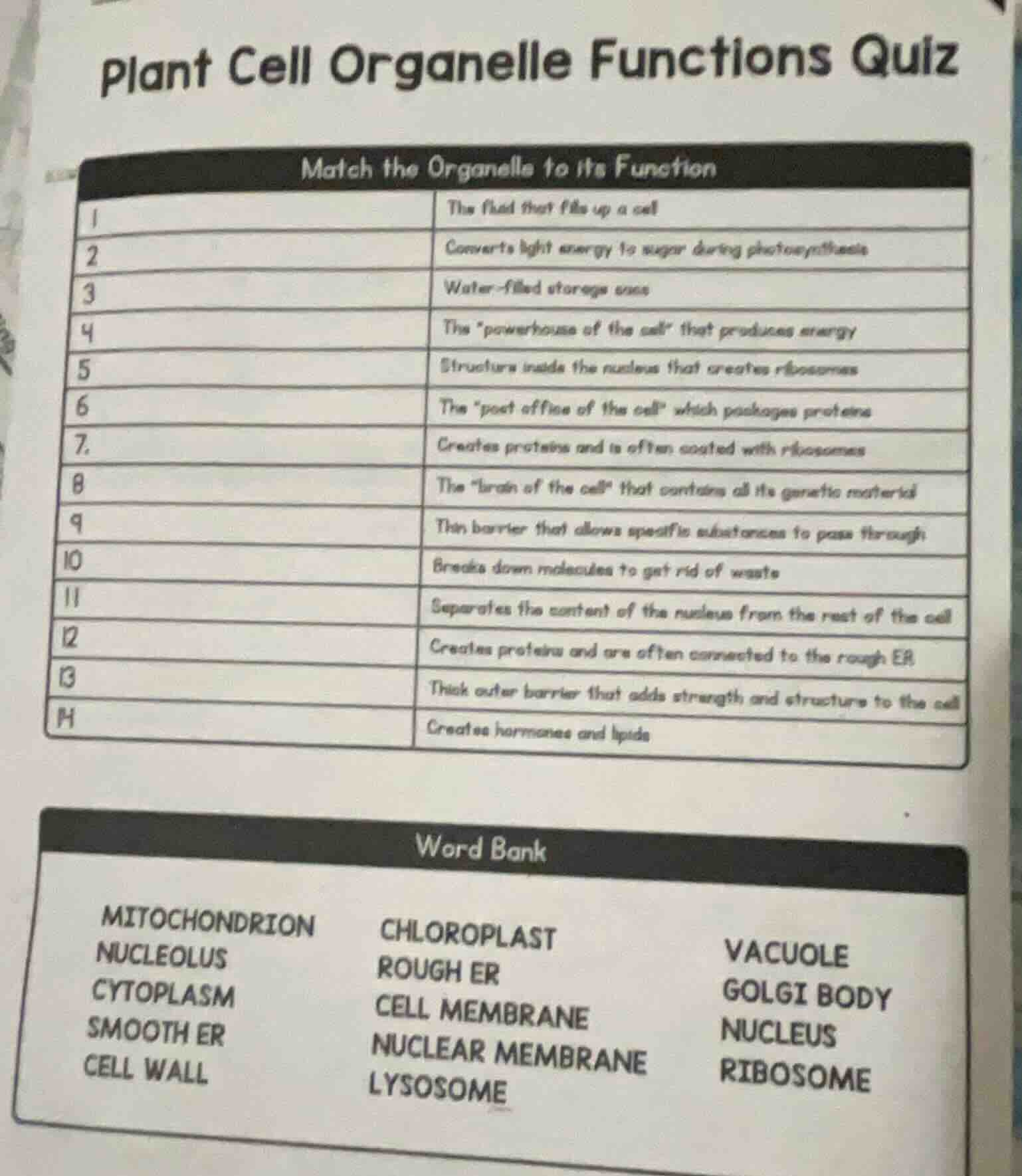 plant cell organelle functions quiz match the organelle to its function…