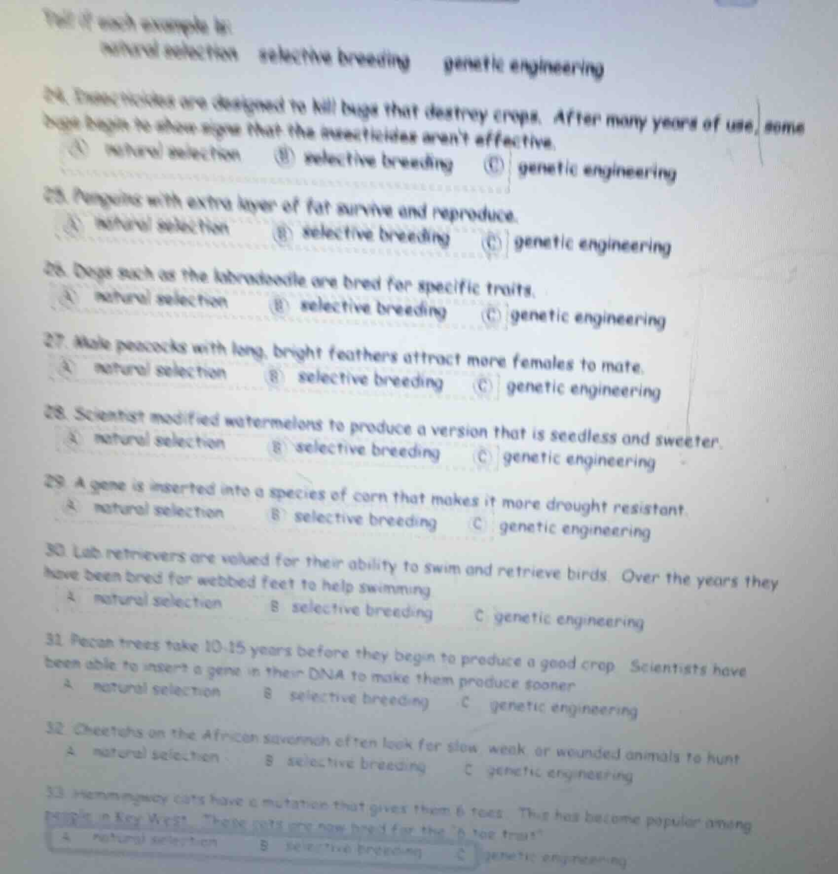 tell if each example is: natural selection selective breeding genetic e…