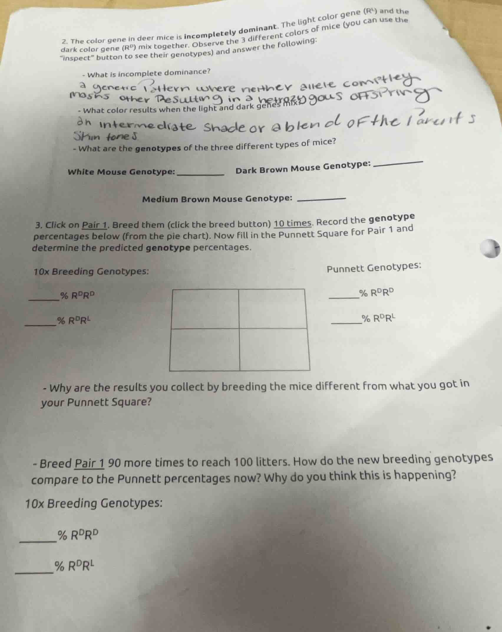 2. the color gene in deer mice is incompletely dominant. the light colo…