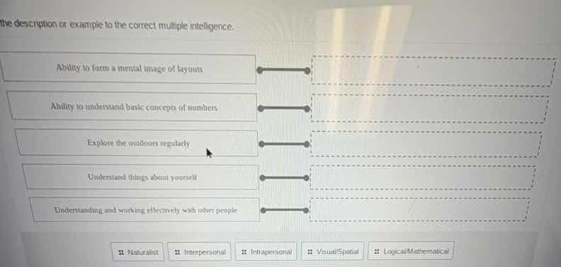 the description or example to the correct multiple intelligence. abilit…