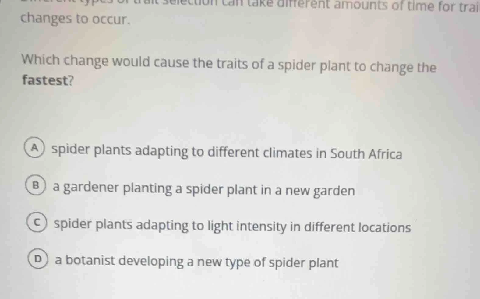 which change would cause the traits of a spider plant to change the fas…