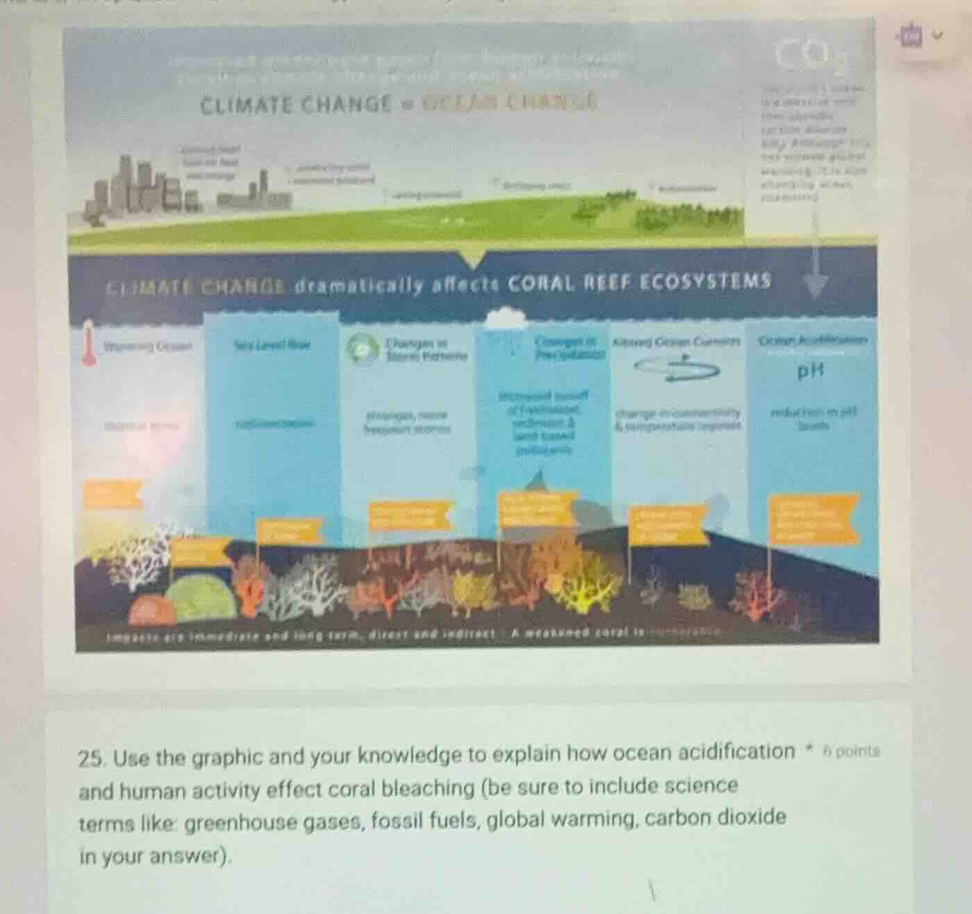 25. use the graphic and your knowledge to explain how ocean acidificati…