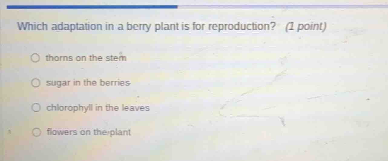 which adaptation in a berry plant is for reproduction? (1 point) thorns…
