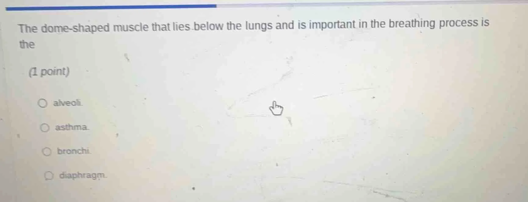 the dome - shaped muscle that lies below the lungs and is important in …