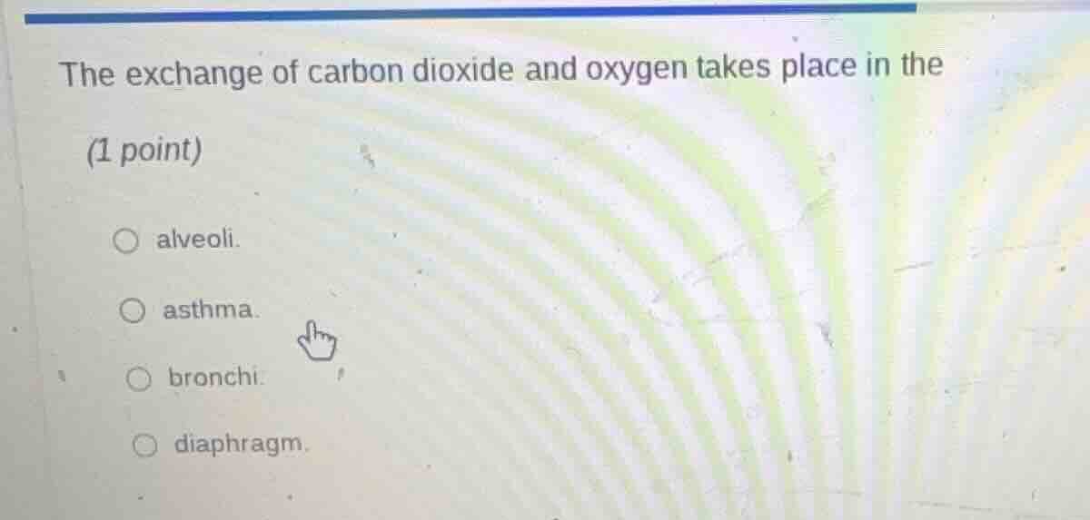 the exchange of carbon dioxide and oxygen takes place in the(1 point)al…