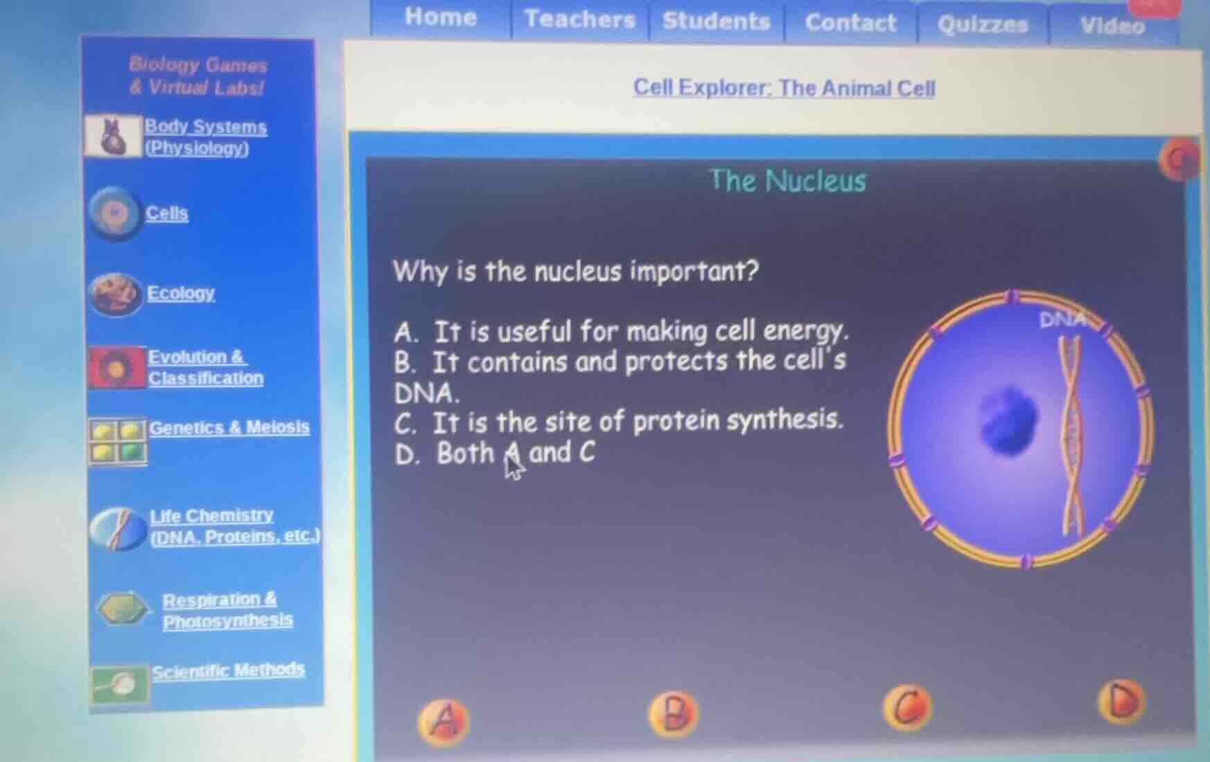 cell explorer: the animal cell the nucleus why is the nucleus important…