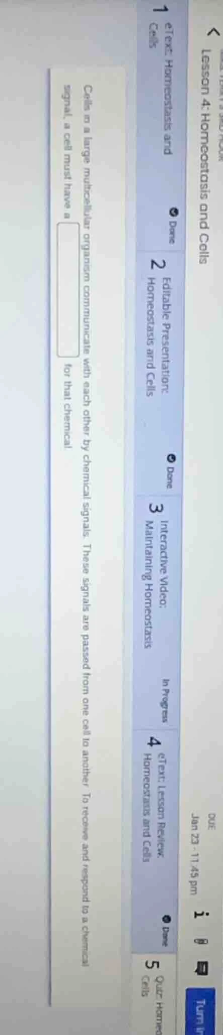 cells in a large multicellular organism communicate with each other by …