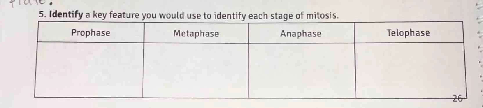 5. identify a key feature you would use to identify each stage of mitos…