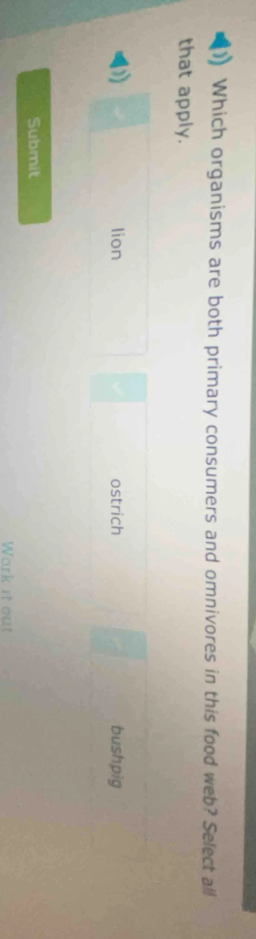 which organisms are both primary consumers and omnivores in this food w…