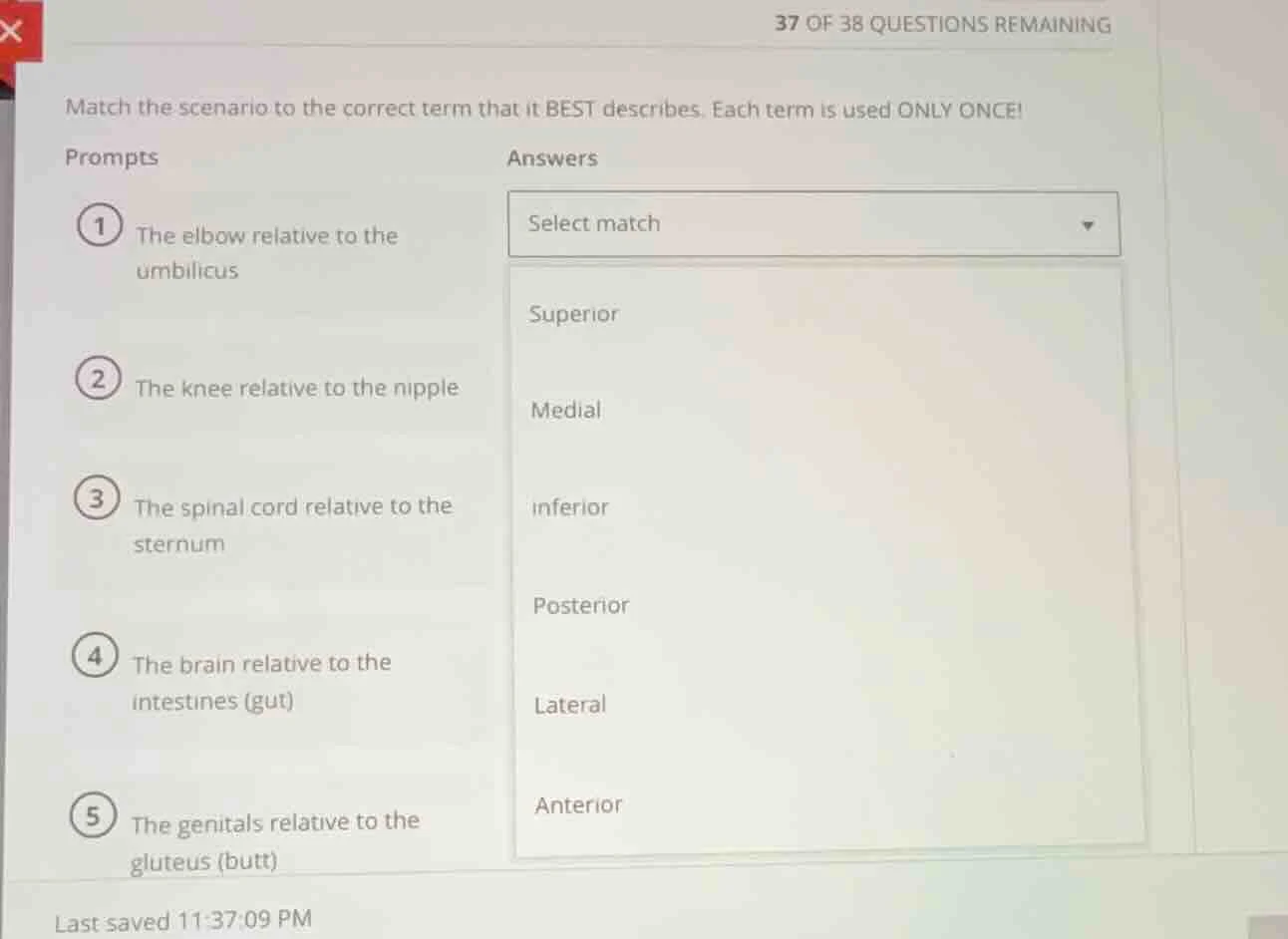 match the scenario to the correct term that it best describes. each ter…