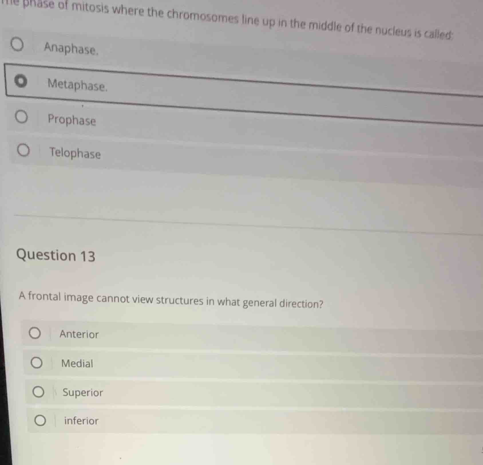 the phase of mitosis where the chromosomes line up in the middle of the…