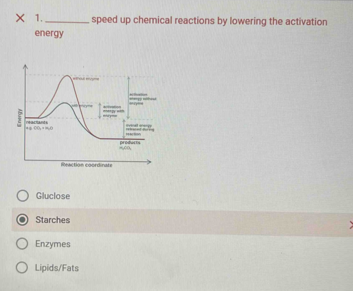 1. ______ speed up chemical reactions by lowering the activation energy…