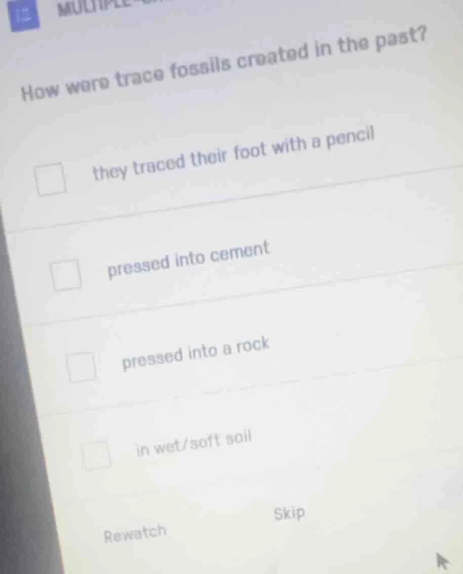 how were trace fossils created in the past? they traced their foot with…