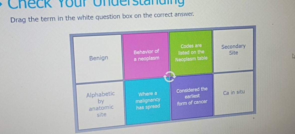check your understanding drag the term in the white question box on the…