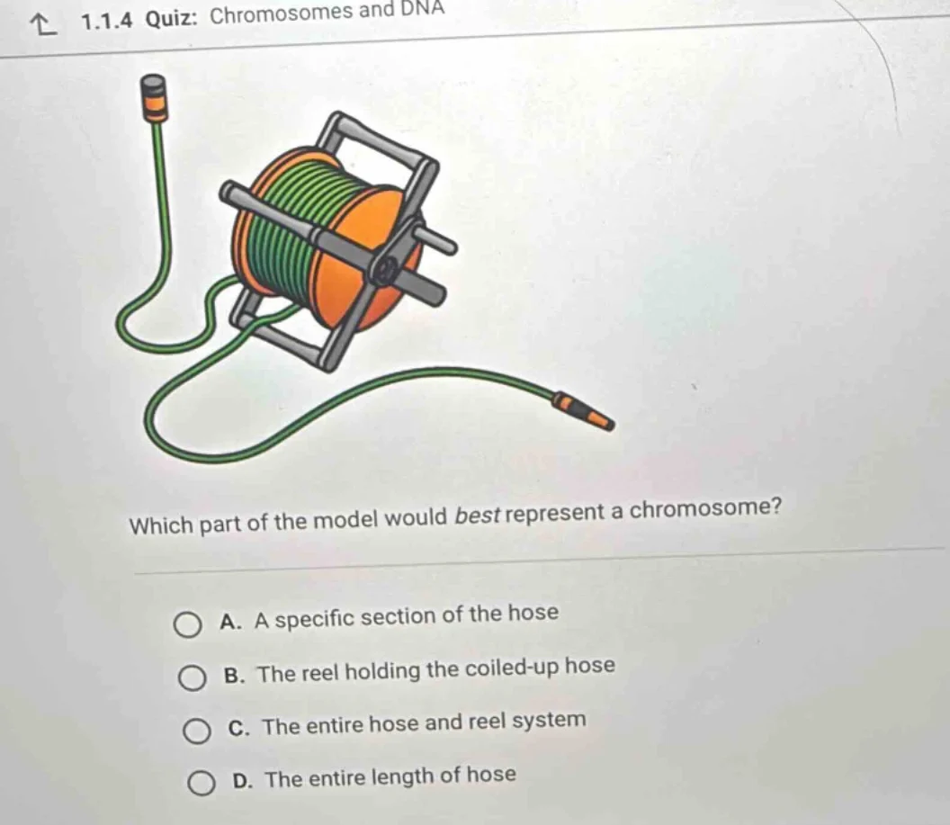 1.1.4 quiz: chromosomes and dna which part of the model would best repr…