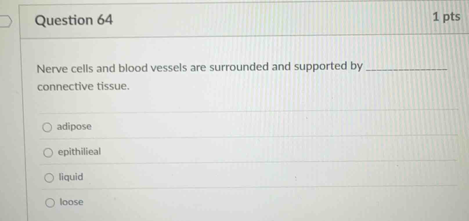 question 64 1 pts nerve cells and blood vessels are surrounded and supp…