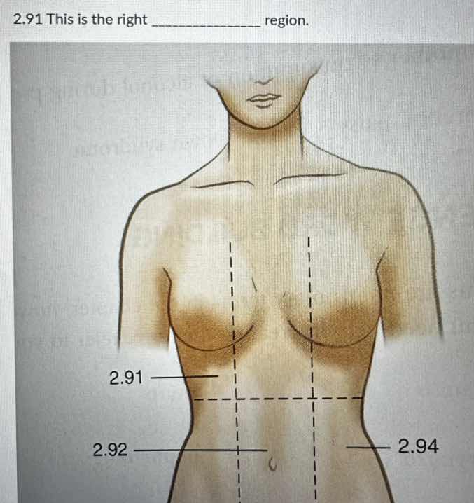 2.91 this is the right __________ region.